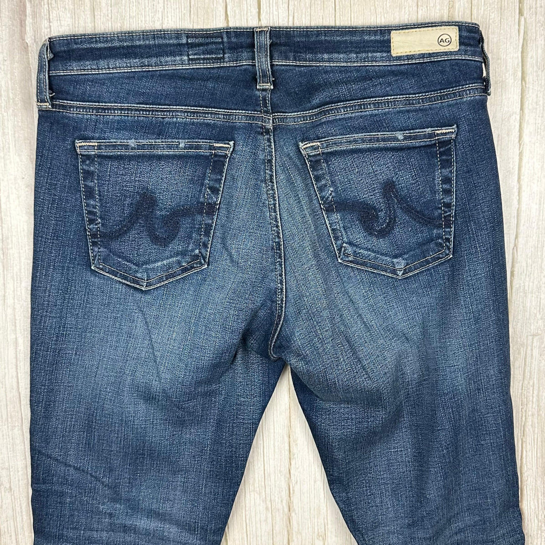 Adriano Goldschmied 'The Legging Ankle' Skinny Jeans- Size 28R