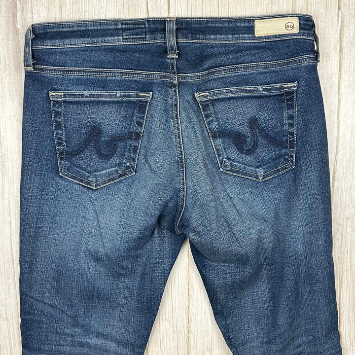 Adriano Goldschmied 'The Legging Ankle' Skinny Jeans- Size 28R